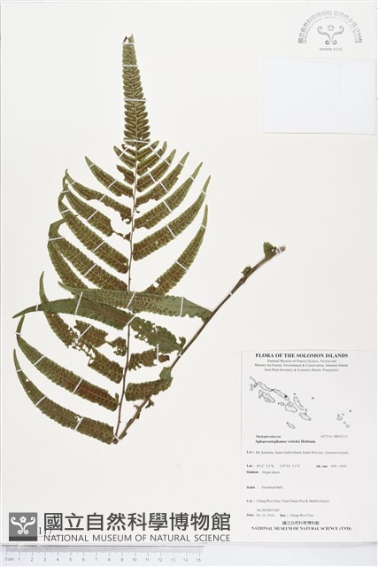 登錄號:BP02117藏品圖，第1張