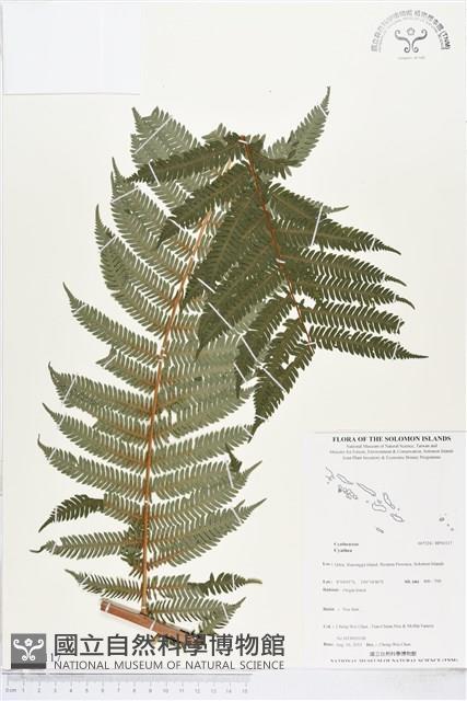 登錄號:BP01117藏品圖，第1張