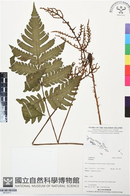 登錄號:BP03417藏品圖，第1張