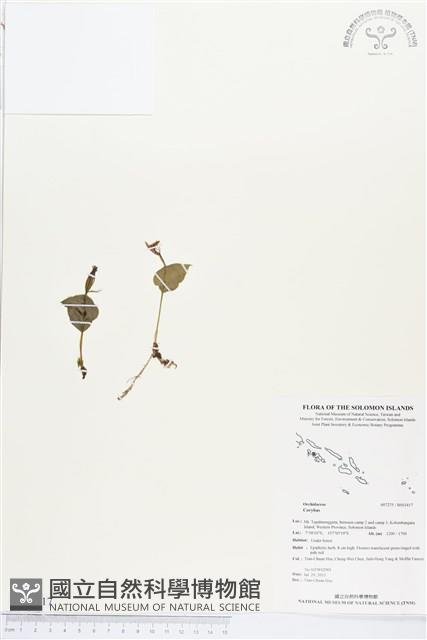 登錄號:BS03417藏品圖，第1張