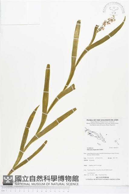 登錄號:BS04217藏品圖，第1張