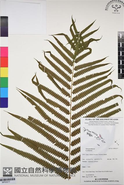 登錄號:BP03217藏品圖，第1張