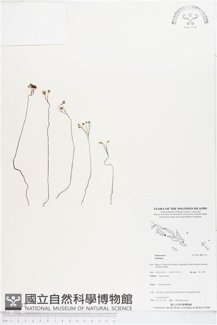 登錄號:BP01717藏品圖，第1張