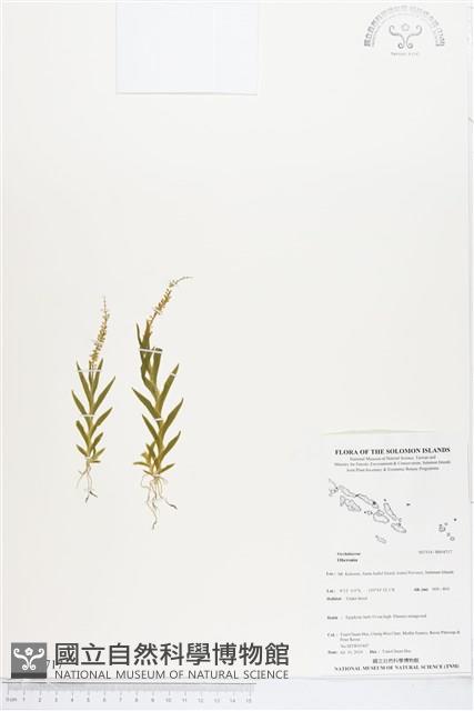 登錄號:BS04717藏品圖，第1張