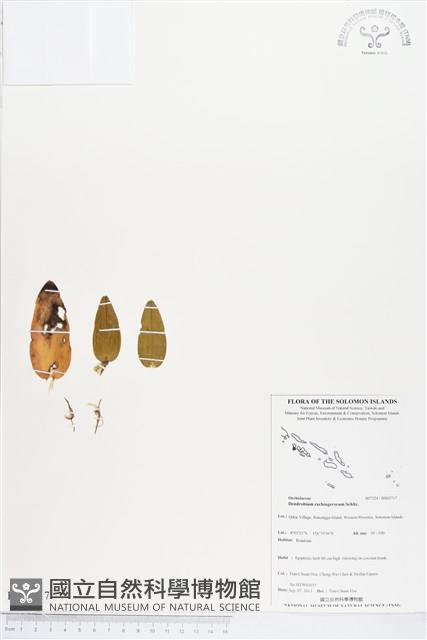 登錄號:BS03717藏品圖，第1張