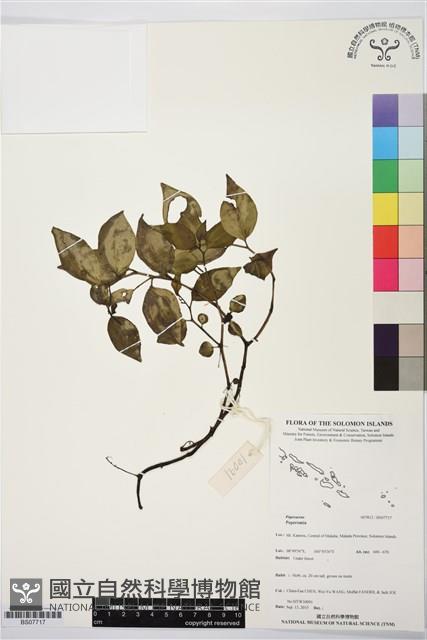 登錄號:BS07717藏品圖，第1張