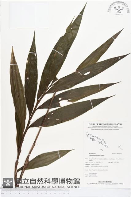 登錄號:BS01517藏品圖，第1張