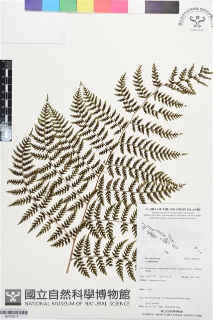 登錄號:BP03517藏品圖，第1張