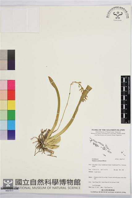 登錄號:BS07517藏品圖，第1張