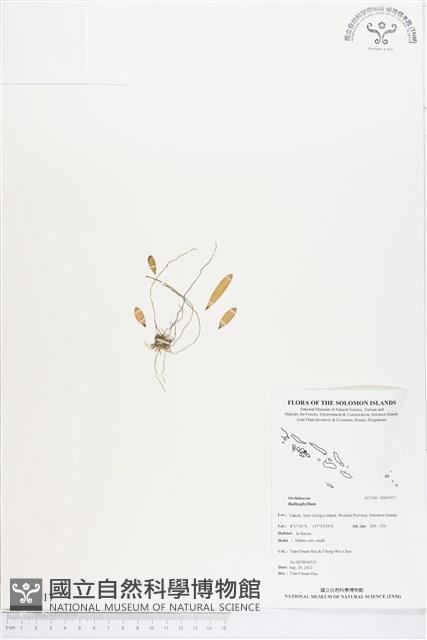 登錄號:BS01917藏品圖，第1張