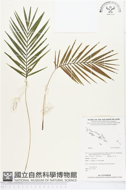 登錄號:BS02317藏品圖，第1張