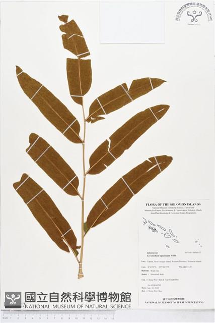 登錄號:BP00317藏品圖，第1張