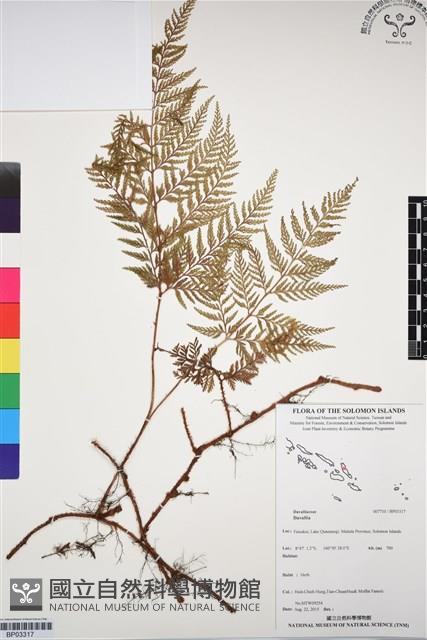 登錄號:BP03317藏品圖，第1張