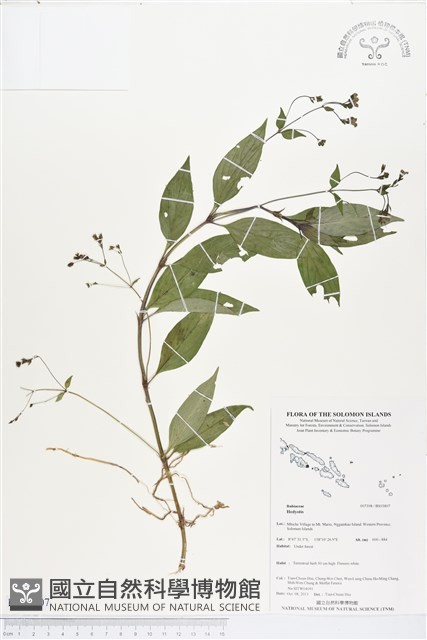 登錄號:BS03807藏品圖，第1張