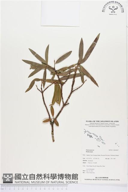登錄號:BG00007藏品圖，第1張