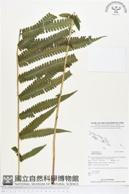 登錄號:BP00007藏品圖，第1張