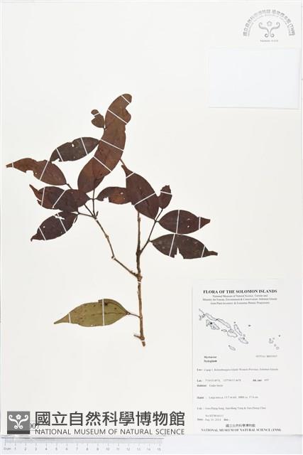 登錄號:BS05007藏品圖，第1張