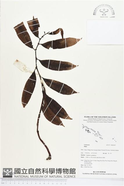 登錄號:BS03007藏品圖，第1張