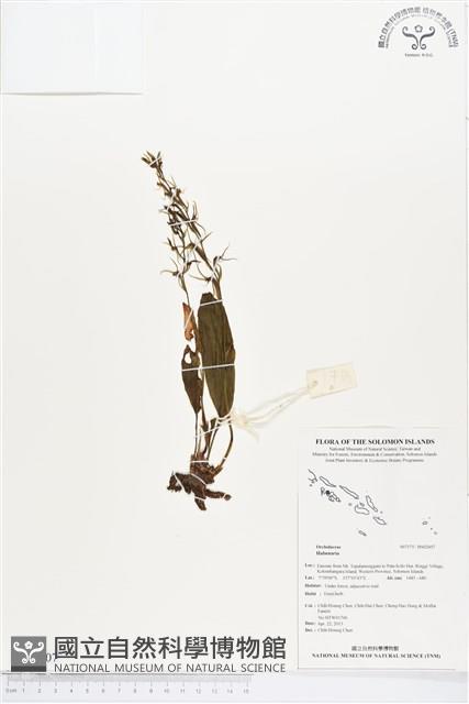 登錄號:BS02607藏品圖，第1張