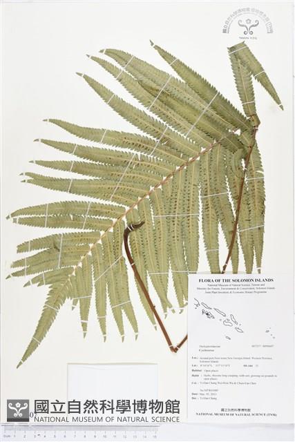 登錄號:BP00607藏品圖，第1張