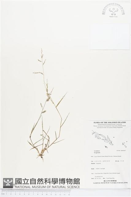 登錄號:BS04607藏品圖，第1張