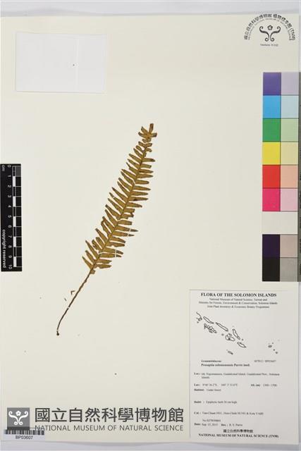 登錄號:BP03607藏品圖，第1張