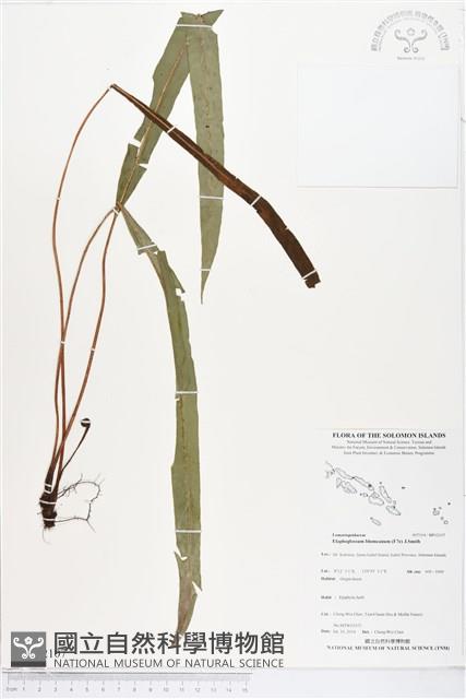 登錄號:BP02107藏品圖，第1張