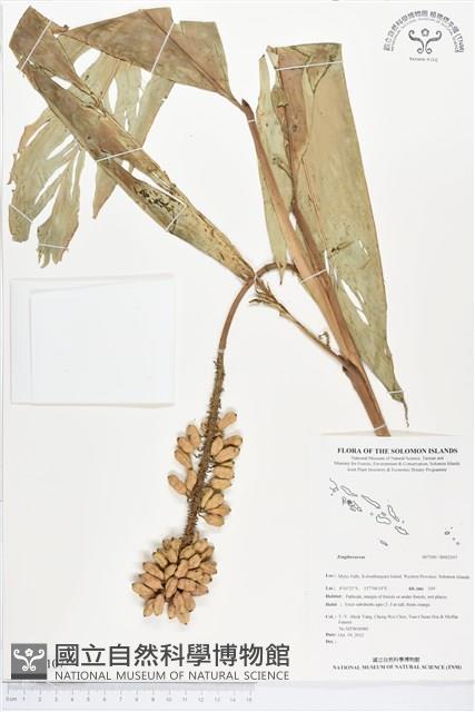 登錄號:BS02107藏品圖，第1張