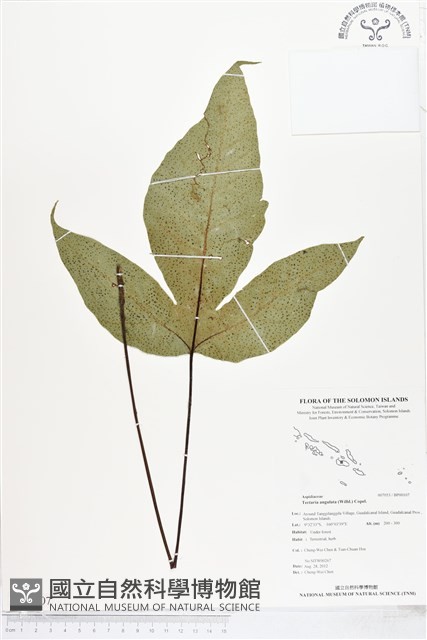 登錄號:BP00107藏品圖，第1張