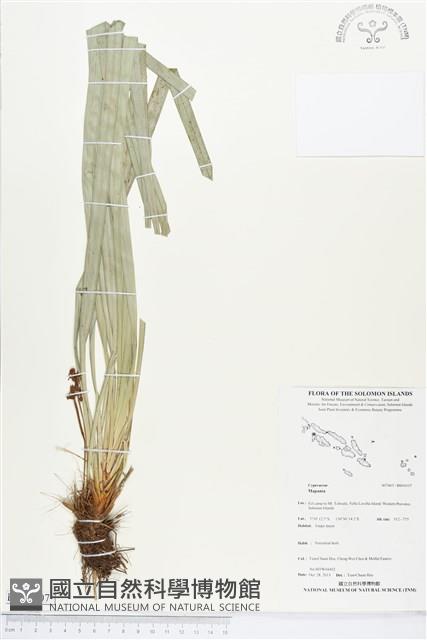 登錄號:BS04107藏品圖，第1張