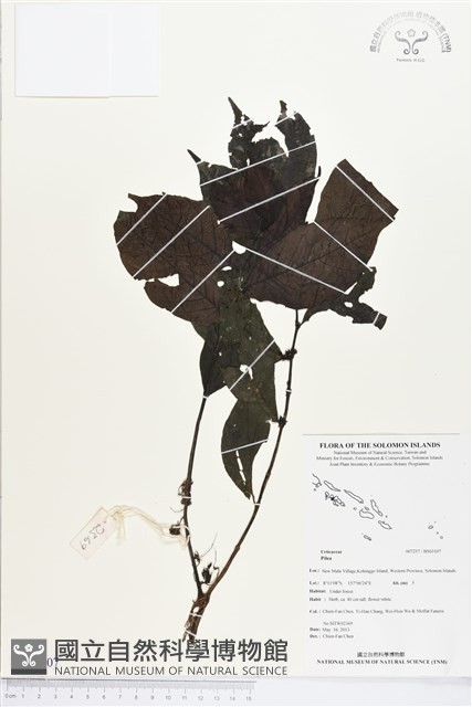 登錄號:BS03107藏品圖，第1張