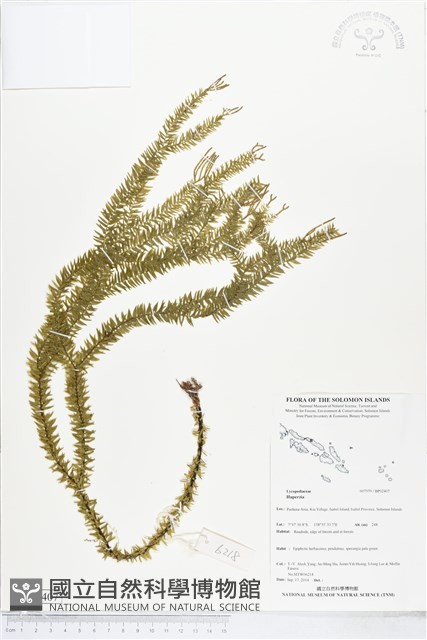 登錄號:BP02407藏品圖，第1張