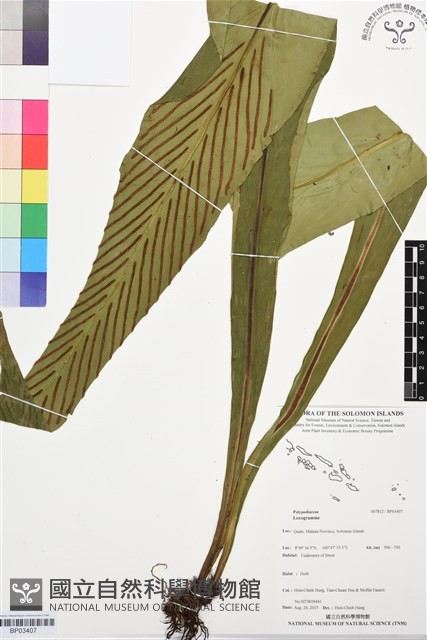 登錄號:BP03407藏品圖，第1張