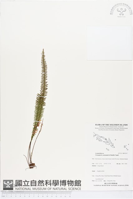 登錄號:BP02207藏品圖，第1張