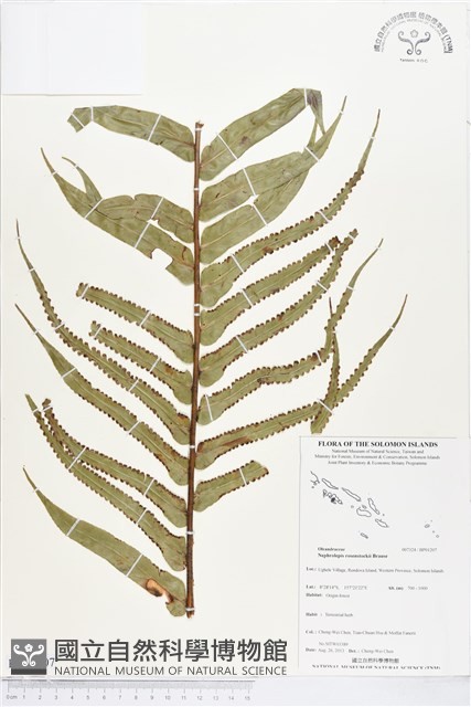 登錄號:BP01207藏品圖，第1張