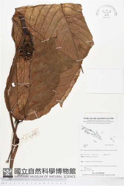 登錄號:BS05207藏品圖，第1張