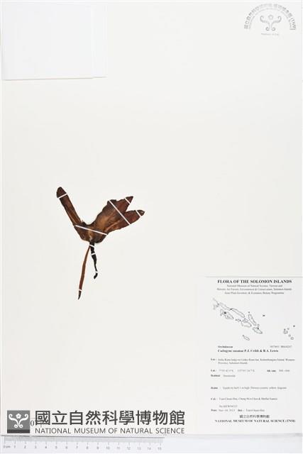 登錄號:BS04207藏品圖，第1張