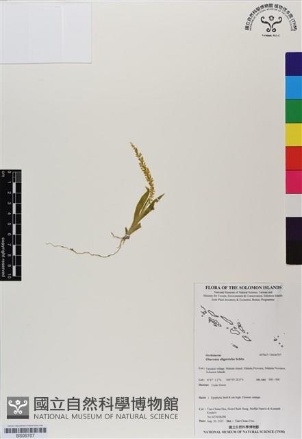 登錄號:BS06707藏品圖，第1張