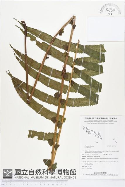 登錄號:BP00707藏品圖，第1張