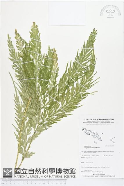 登錄號:BP01707藏品圖，第1張