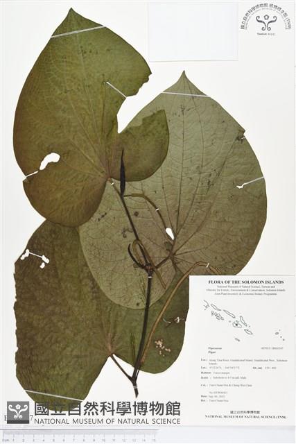 登錄號:BS01507藏品圖，第1張