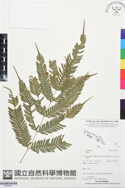 登錄號:BP03507藏品圖，第1張