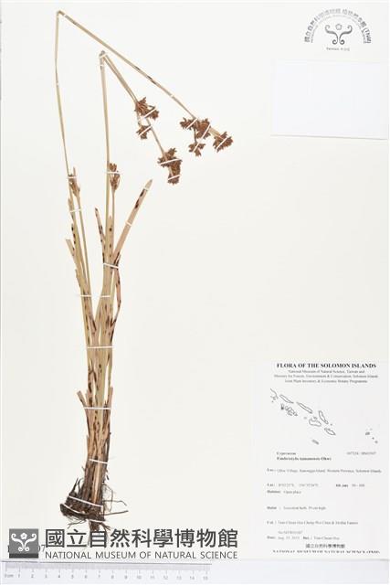 登錄號:BS03507藏品圖，第1張