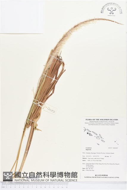 登錄號:BS02907藏品圖，第1張