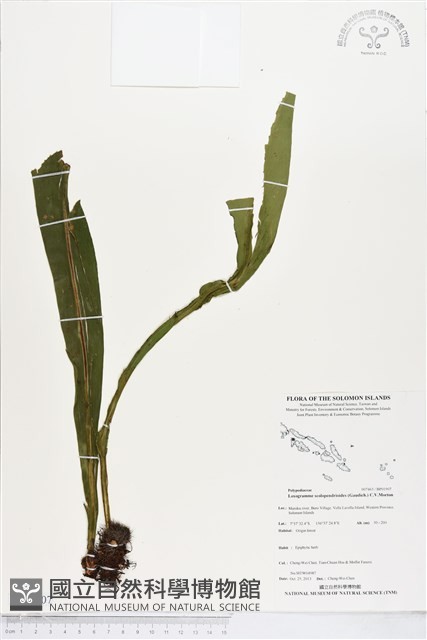 登錄號:BP01907藏品圖，第1張