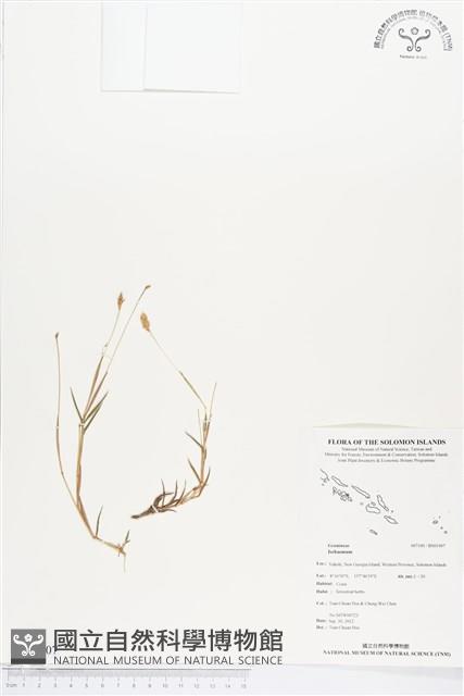 登錄號:BS01907藏品圖，第1張