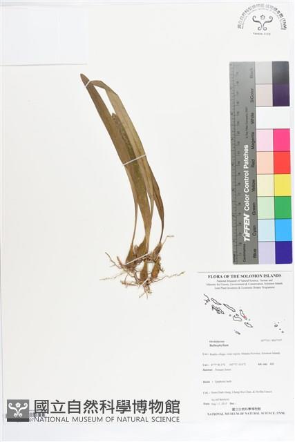 登錄號:BS07307藏品圖，第1張