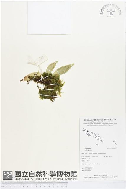 登錄號:BP00837藏品圖，第1張