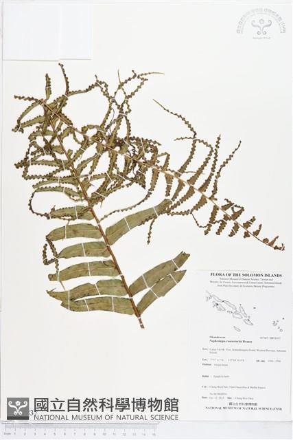 登錄號:BP01837藏品圖，第1張