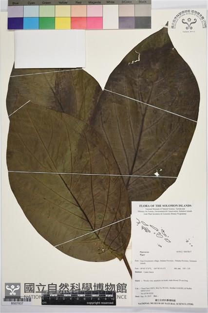 登錄號:BS07837藏品圖，第1張